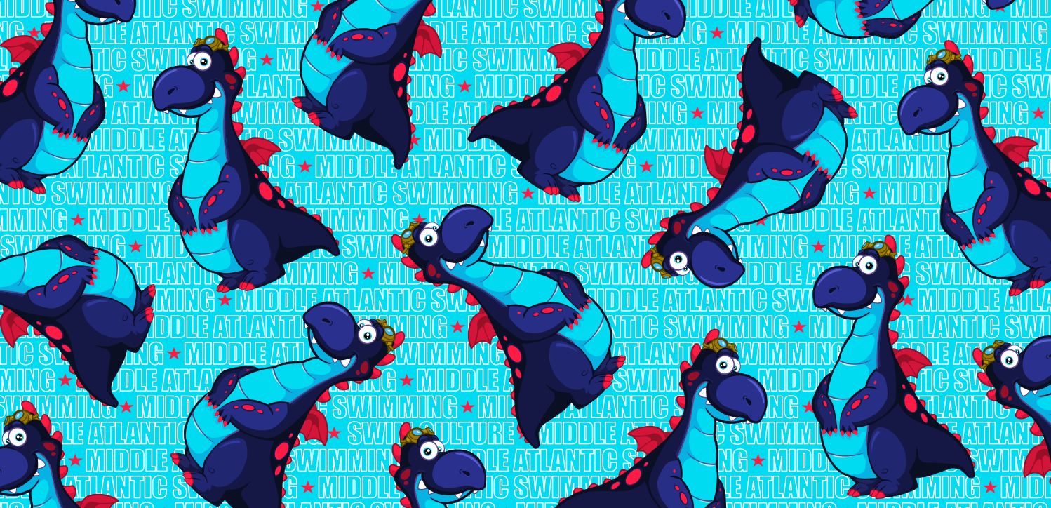 Middle Atlantic Swimming Towel